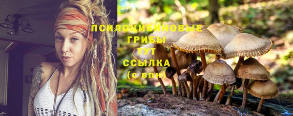 экстази Вязьма