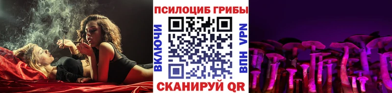 где найти наркотики  Змеиногорск  Галлюциногенные грибы GOLDEN TEACHER 