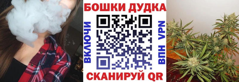 Бошки марихуана White Widow  закладка  Змеиногорск 